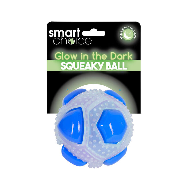 Glow In The Dark Ball Dog Toy - Blue