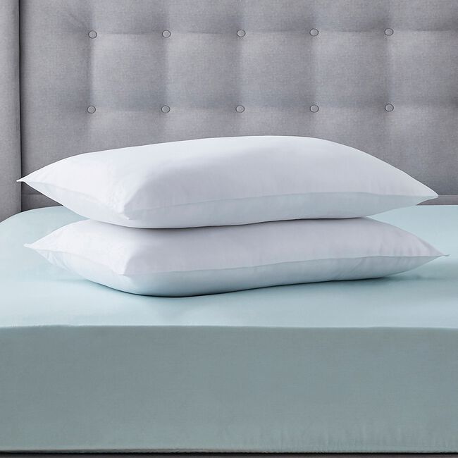 Anti-Allergy Pillow Pair Silentnight 