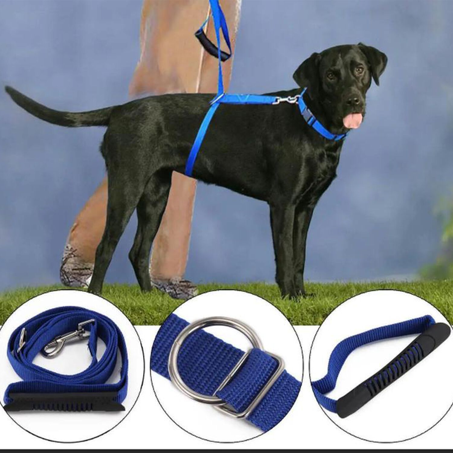 Pet Instant Trainer Leash Home Store More