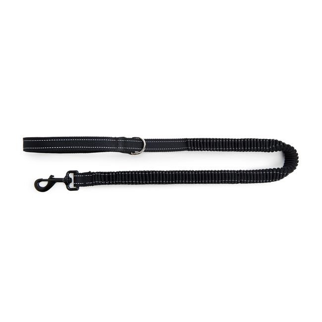 Shock Absorbing Dog Leash - Black