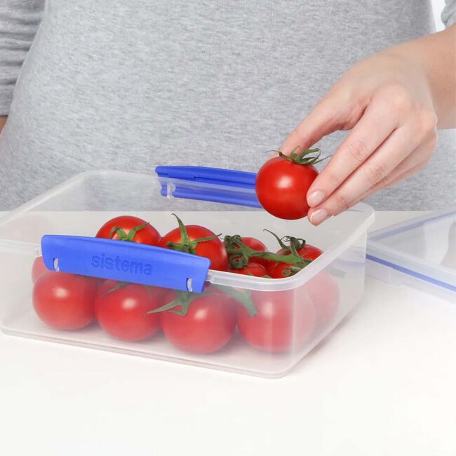 Sistema 2L Airtight Lunch Box Container