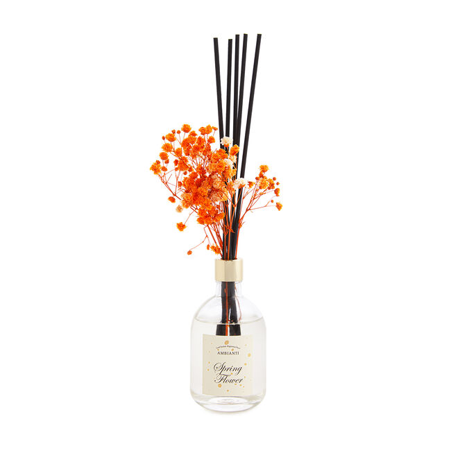 Ambianti Dried Flower Spring Flower Reed Diffuser