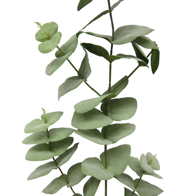 Eucalyptus Spray Green 88cm