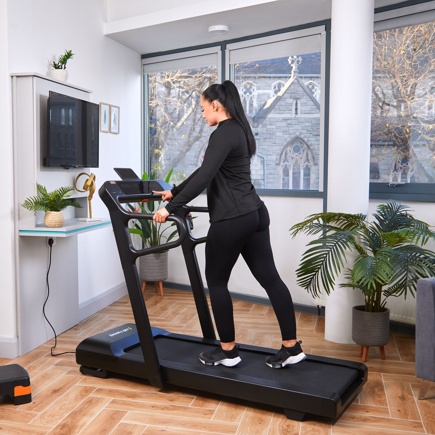 Treadmill homestore and more sale