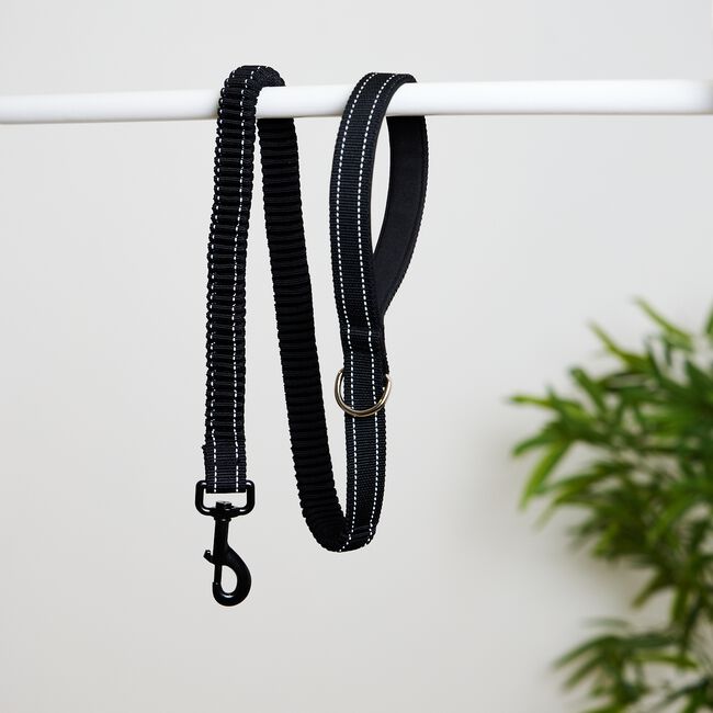 Shock Absorbing Dog Leash - Black