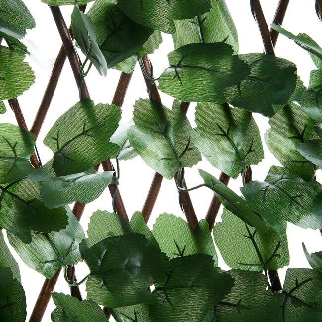 Ivy Leaf Trellis 180cm x 30cm