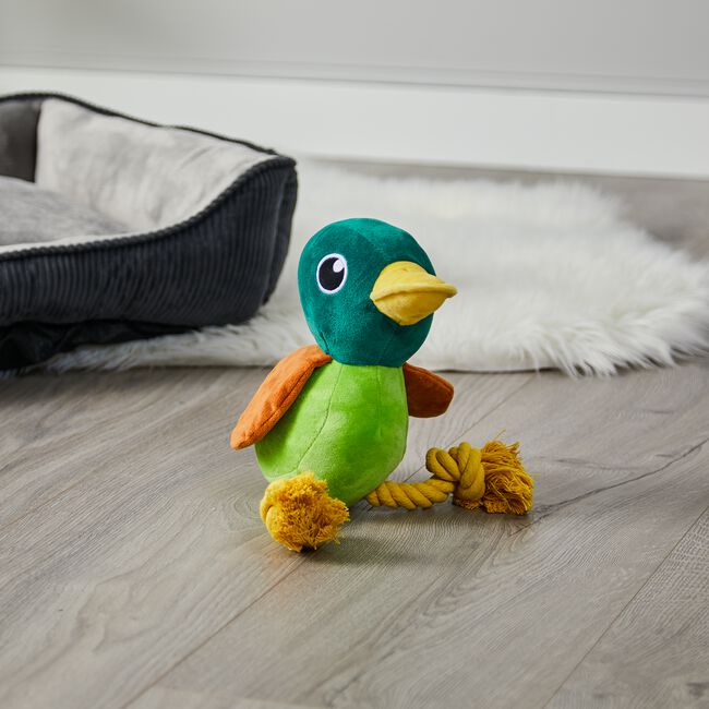 Duck Tug Pet Toy