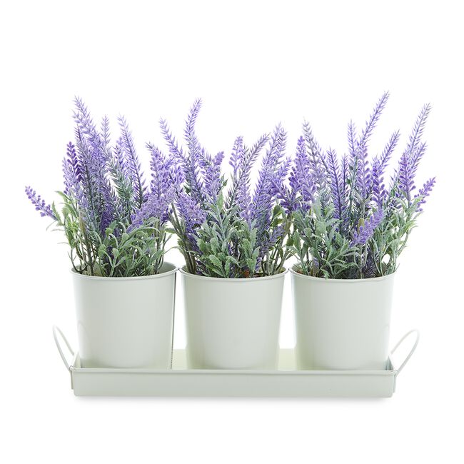 Lavender Pots Trio
