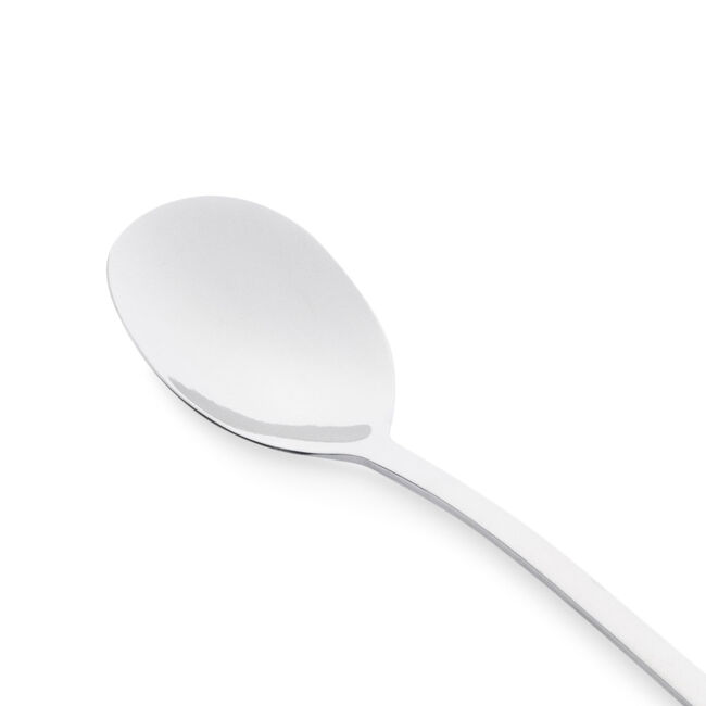 Master Cutler Latte Spoon