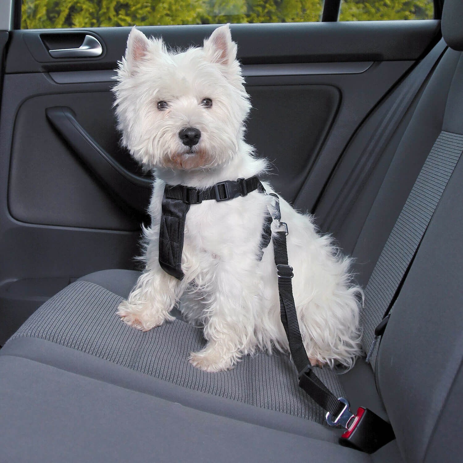 Back seat dog harness best sale