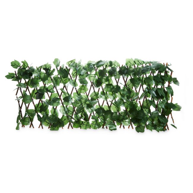 Ivy Leaf Trellis 180cm x 30cm