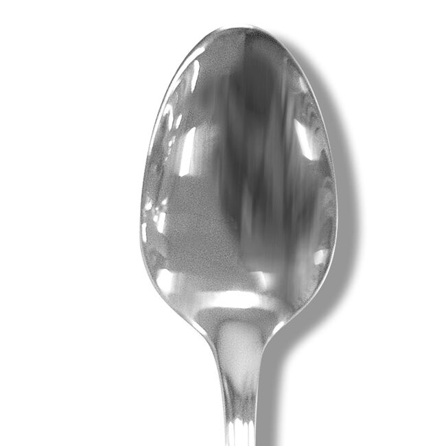 Highfield Tea Spoon