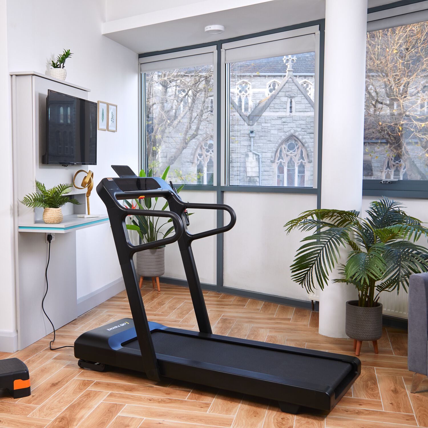 Treadmill homestore and more new arrivals