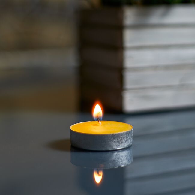 Chatsworth 12 Pack Citronella Tealights