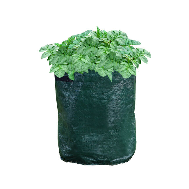 Potato Grow Bags Set of 2
