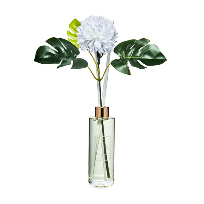 Ambianti Clean Cotton Faux Flower Reed Diffuser