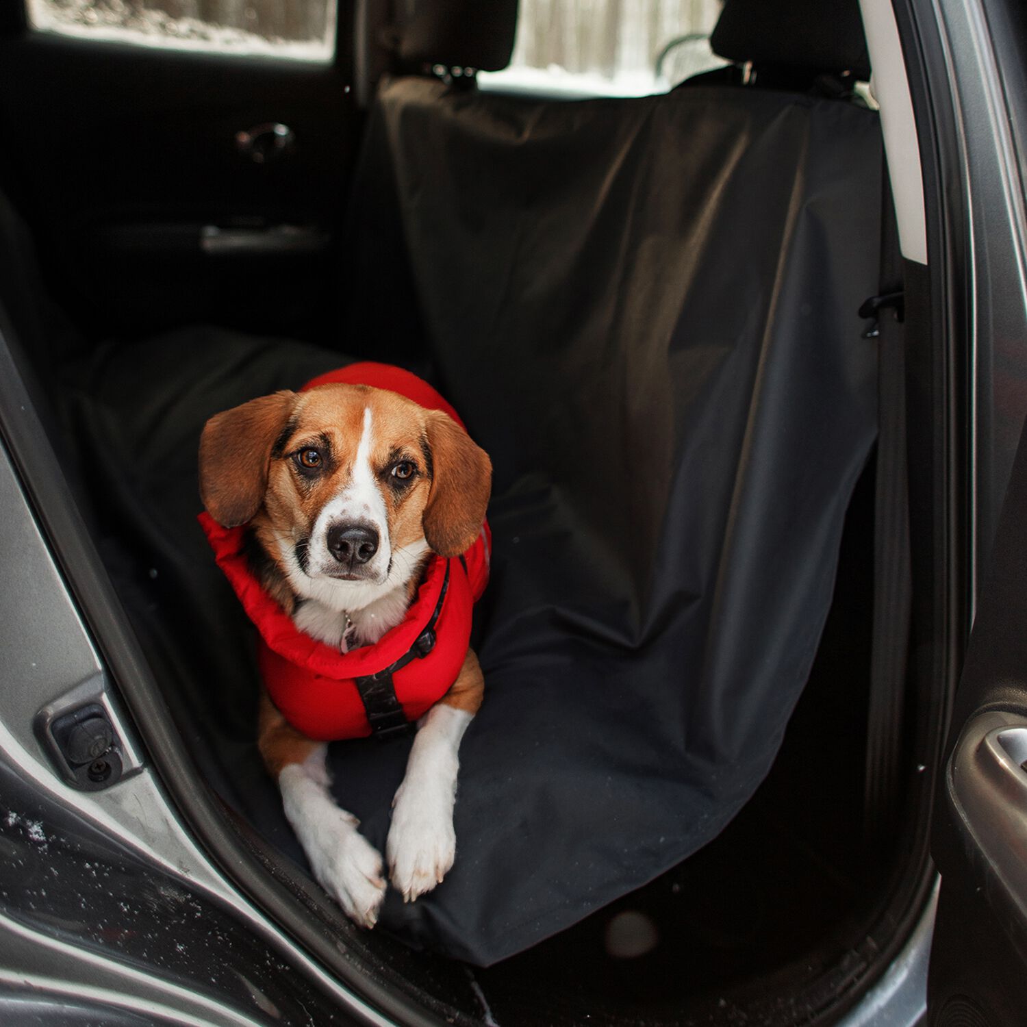 Dog car best sale cover kmart