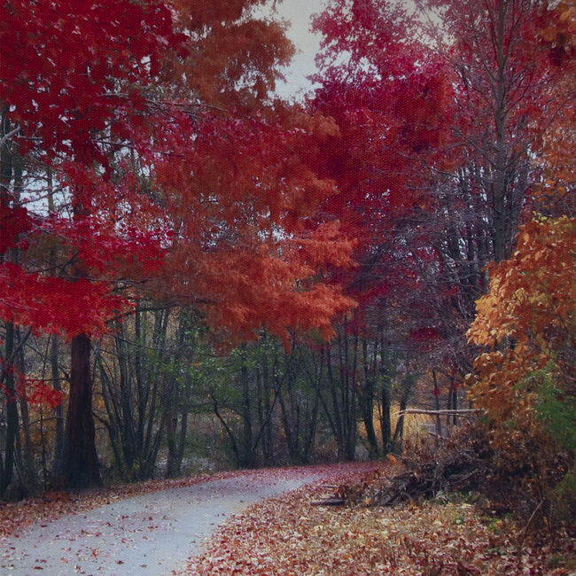 Autumn Road Canvas 60 x 80cm