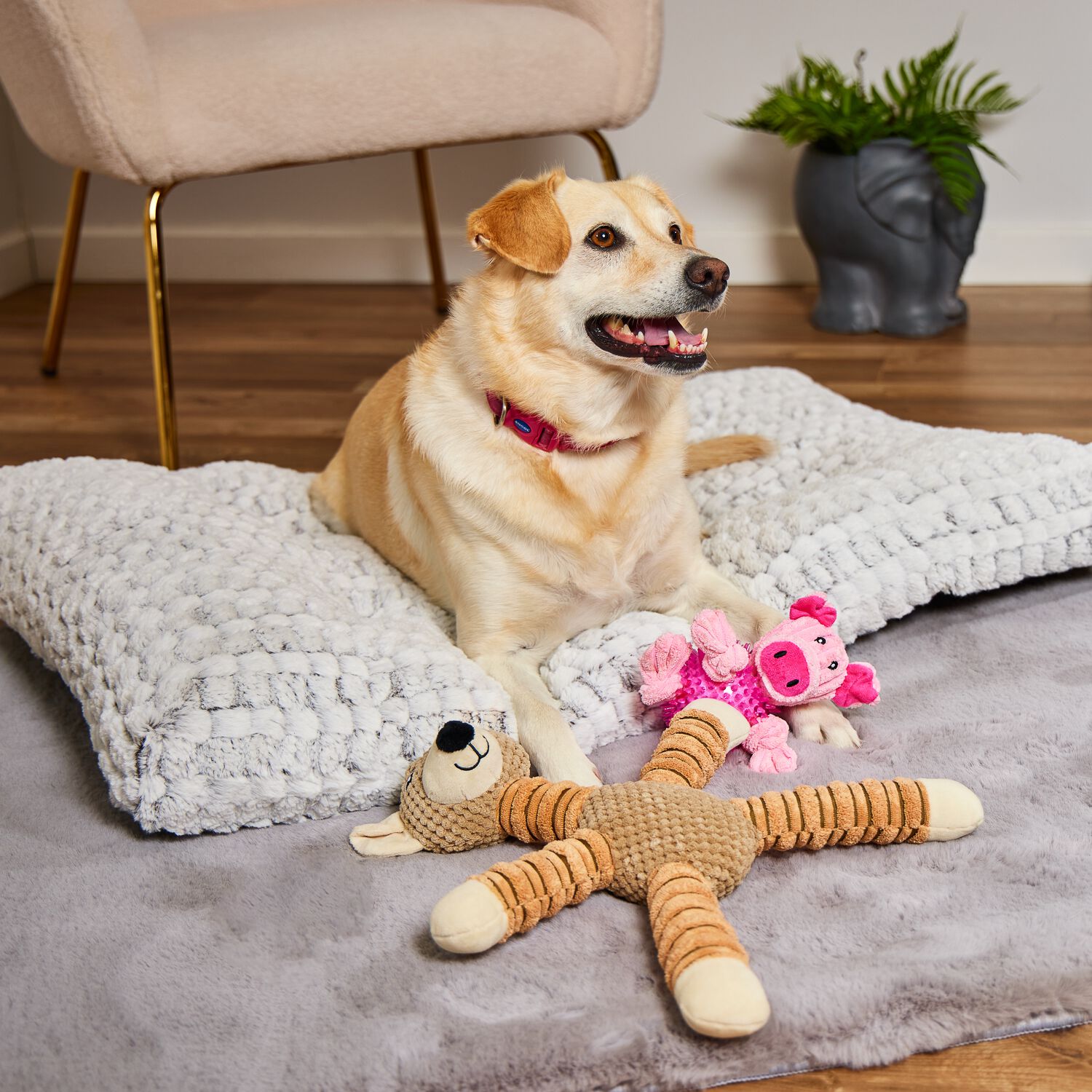 Midwest quiet time ombre swirl dog & hotsell cat bed