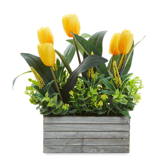 Spring Tulips In Planter