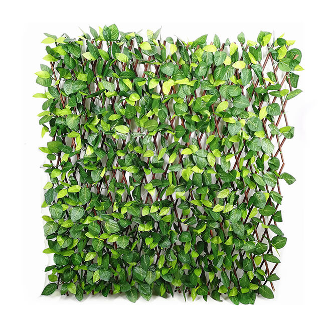 Rose Leaf Trellis 100 x 200cm