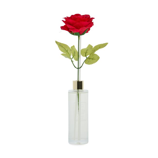 Ambianti Black Forest Rose Long Stem Reed Diffuser