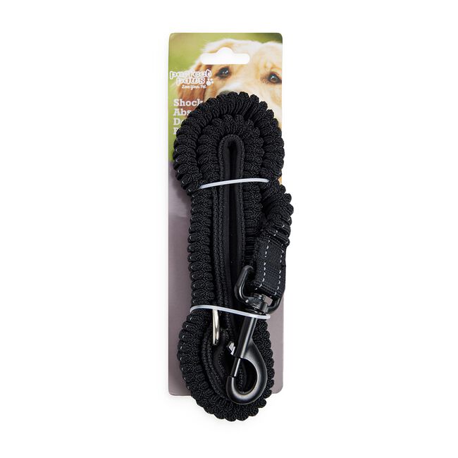 Shock Absorbing Dog Leash - Black