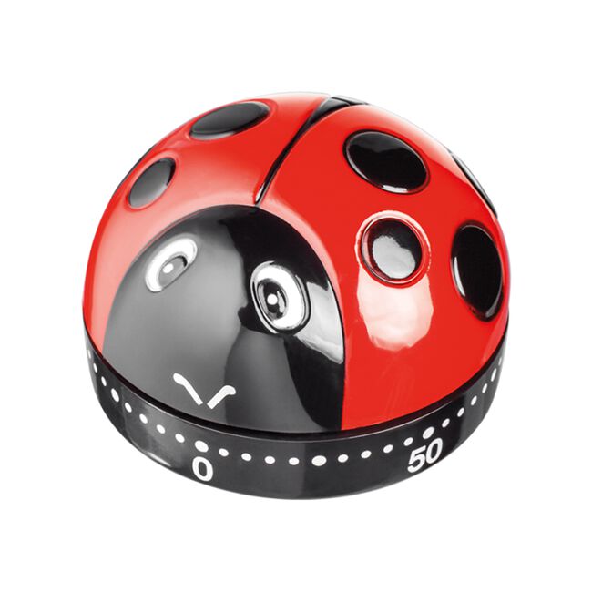 Judge Ladybird Kitchen Timer