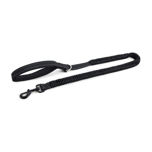 Shock Absorbing Dog Leash - Black